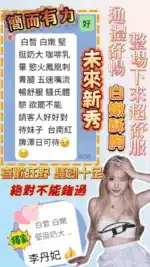 台南定點茶-李丹妃
