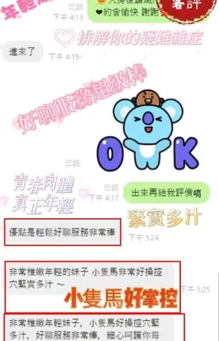 嘉義定點茶、外送茶-朴寶英