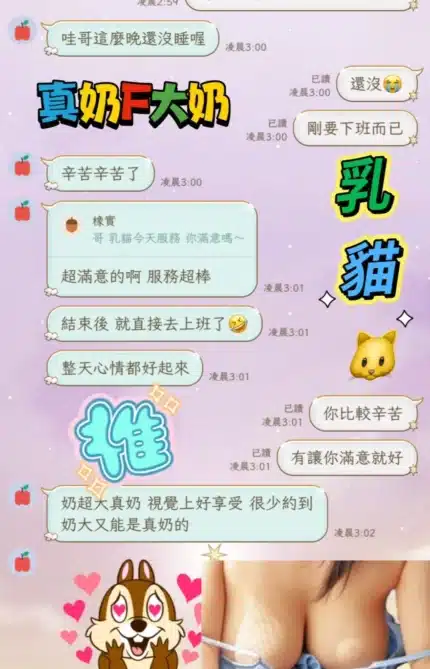 台南定點茶-乳貓