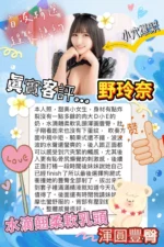 高雄定點茶-野玲奈