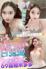 台中定點茶-白兔姬