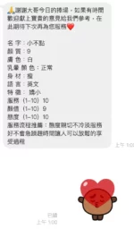 桃園定點茶-小不點