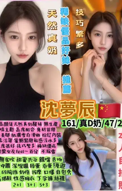 台北定點茶-沈夢辰