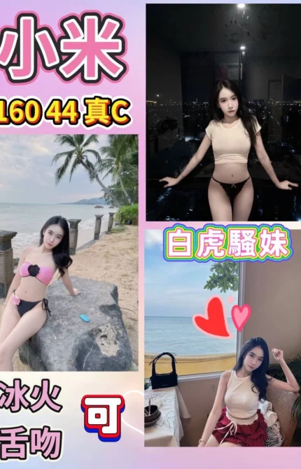 台北定點茶-小米