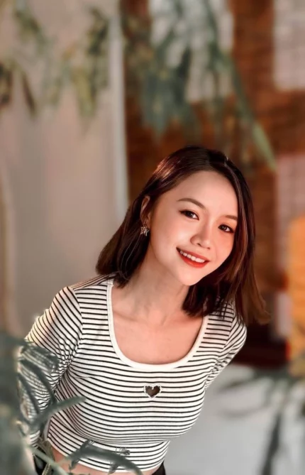 屏東定點茶-杏子