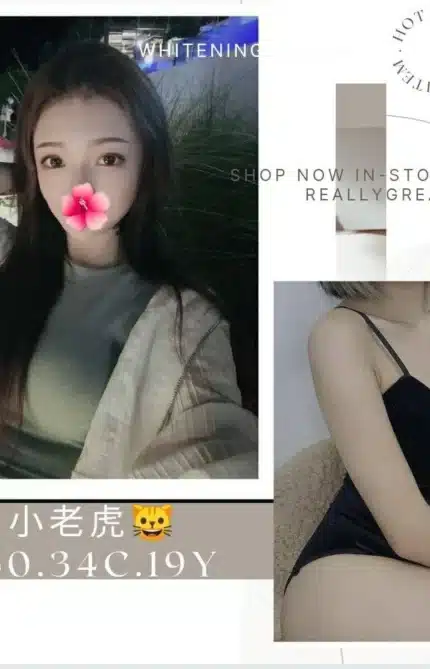 台北外送茶-小老虎
