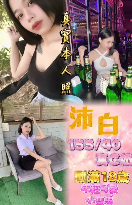 新北定點茶-沛白