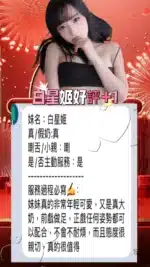 台中定點茶-白星姬