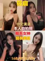 新竹定點茶-筱扇