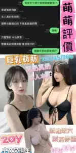 台南定點茶-萌萌