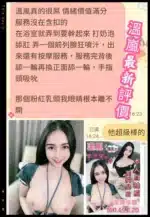 台南定點茶-溫嵐