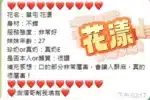 南投定點茶-花漾