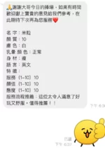 桃園定點茶-米粒