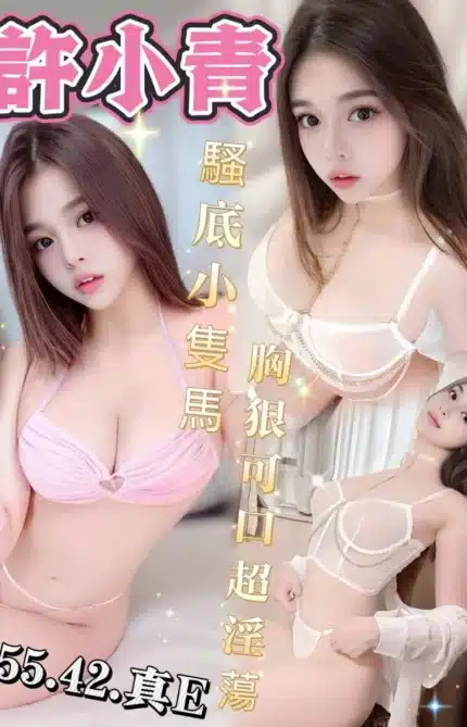 台中定點茶-許小青
