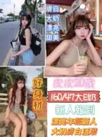 台南定點茶-皮皮
