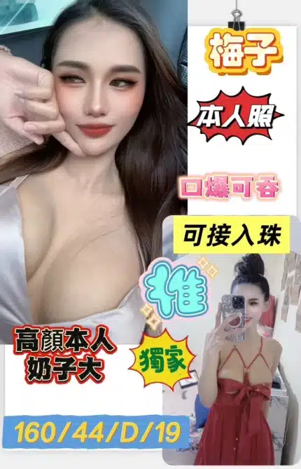高雄定點茶-梅子