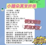 新竹定點茶-小糖朵