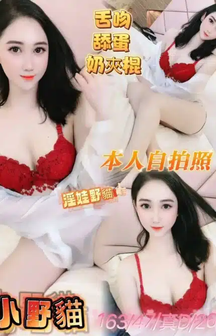 嘉義定點茶-小野貓