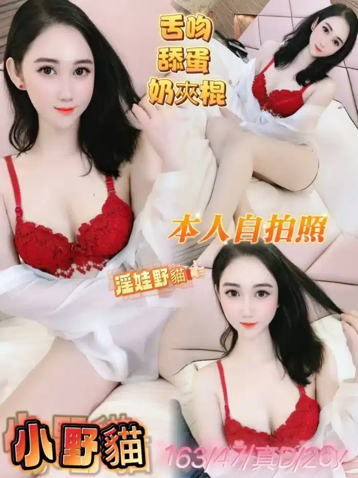 嘉義定點茶-小野貓