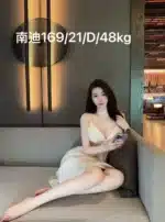 台北外送茶-南迪