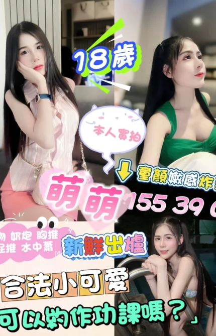 台北定點茶-萌萌