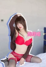 台中定點茶-西野姬
