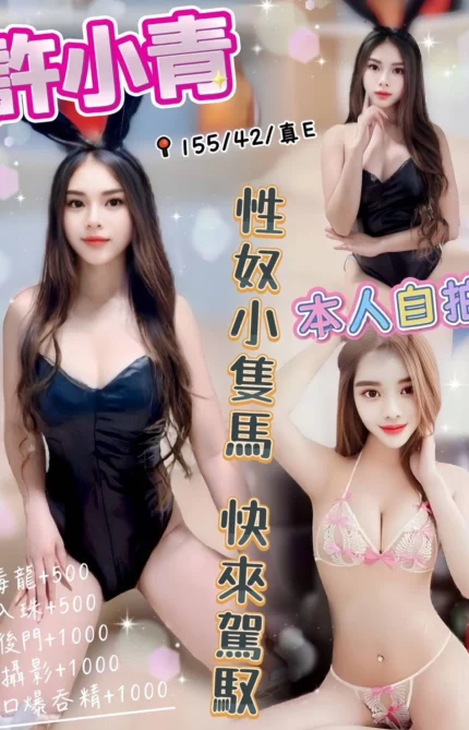 台中定點茶-許小青