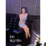 嘉義定點茶-T61