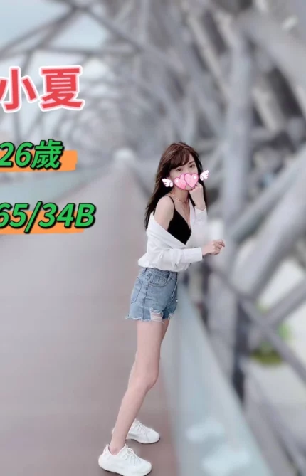 台中定點茶、外送茶-小夏