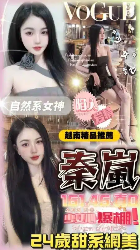 台中定點茶-秦嵐