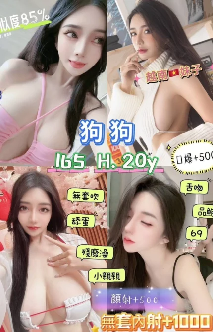 新北定點茶-狗狗