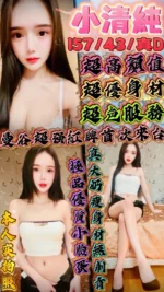 新竹定點茶-小清純