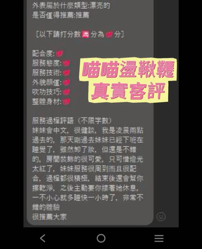 台南定點茶-喵喵盪鞦韆