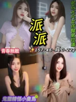 台北定點茶-派派