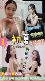 桃園定點茶-初夏