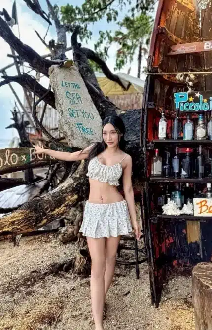 台北定點茶-綠茶婊
