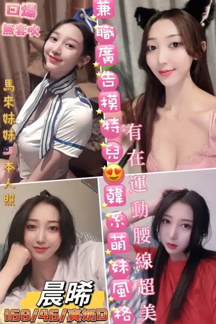 南投定點茶-晨晞