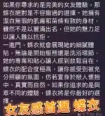 高雄定點茶-蝶衣