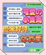 台中定點茶-優米