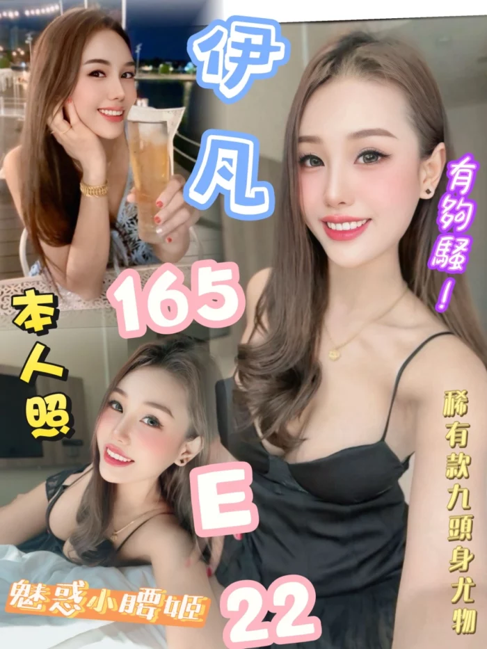 台北定點茶-伊凡