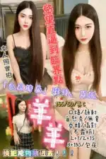 新竹定點茶-羊羊