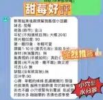 新竹定點茶-甜莓