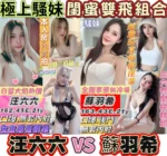 台南定點茶-汪六六