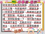 台北定點茶-井隼蘭