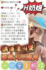 台中定點茶-H奶姬