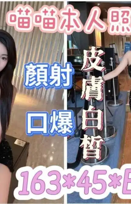 雲林定點茶-喵喵