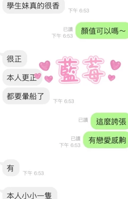 雲林定點茶-藍莓