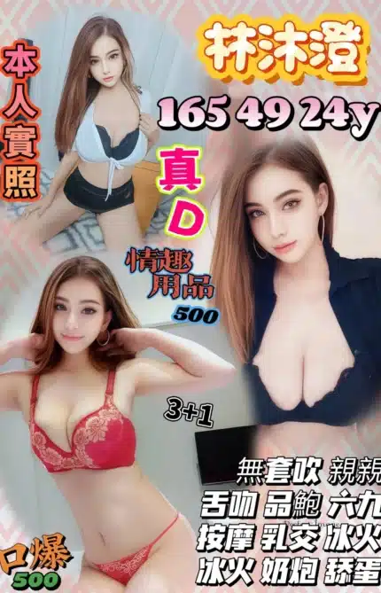 南投定點茶-林沐澄