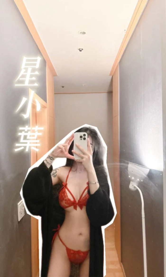 台中定點茶-星小葉