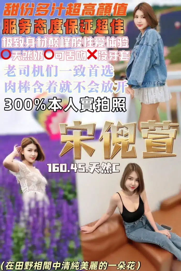 桃園定點茶-宋倪萱